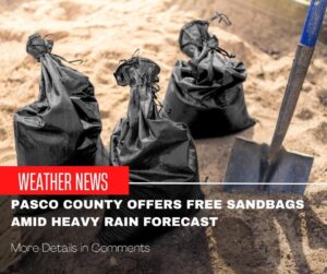 Sandbags