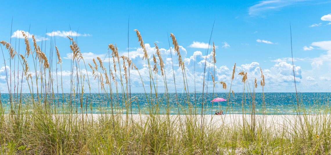 Pink umbrella St Pete