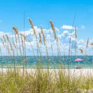 Pink umbrella St Pete