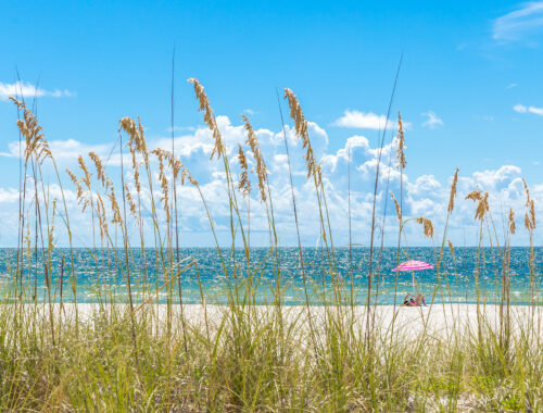 Pink umbrella St Pete