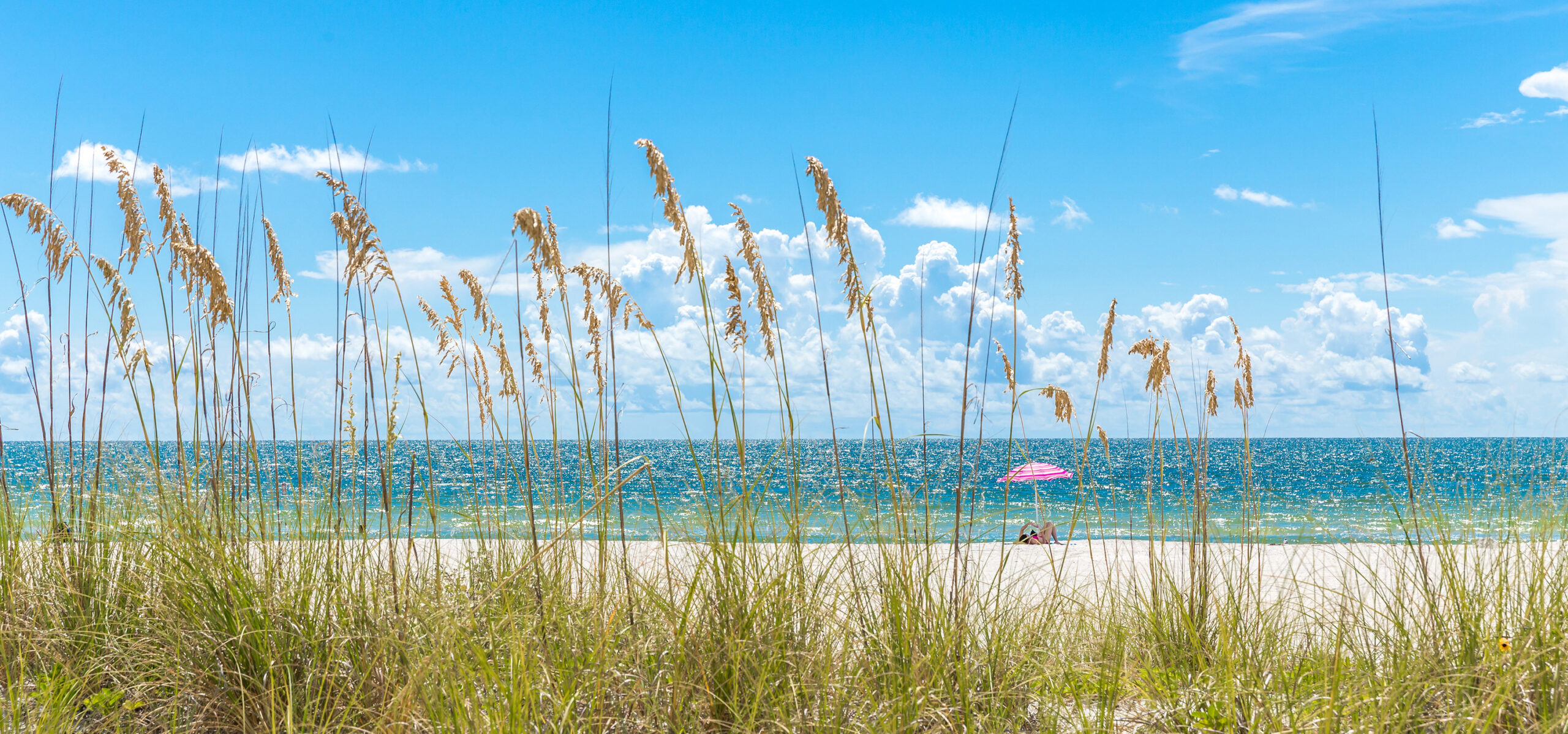 Pink umbrella St Pete